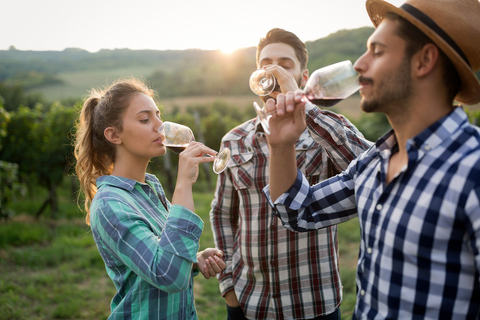 Freiburg: Veni, vidi, vino - Weinwanderung und -verkostungFreiburg: Veni, vidi, vino - Weinverkostungstour