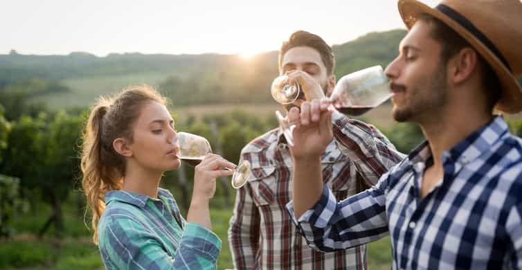 Freiburg: Veni, vidi, vino - pohod i degustacija vina