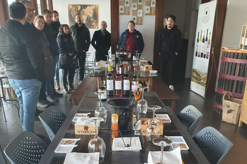 From Porto: Douro Valley Small Group Food and Wine Tour Tour with Hotel Pickup and Drop-Off