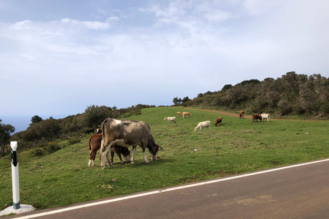 Madeira West Tour - De natuurlijke lavapoelen van Porto Moniz