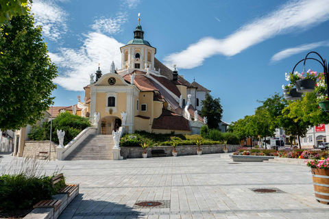 Prywatna 1-dniowa wycieczka do wiedeńskiej wsi z degustacją wina