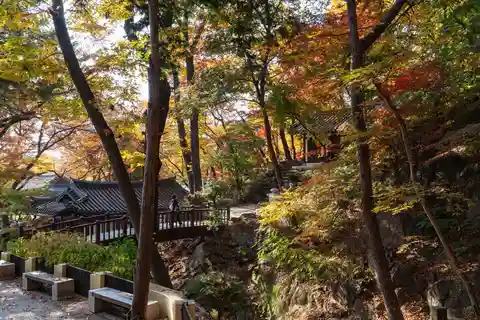 Seoul Unveiled: Untold Stories & Lost Histories Tour