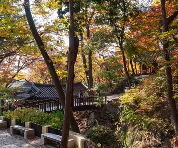 Seoul Unveiled: Untold Stories & Lost Histories Tour