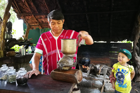 Chiang Mai: Doi Inthanon National Park 1 Day(Hotel Transfer) Chiang Mai: Doi Inthanon National Park Day Trip Included Fee