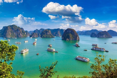 Hanoi: Crucero por la Bahía de Halong con almuerzo, cuevas y kayak