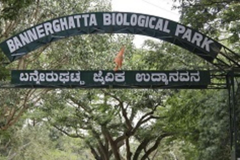 From Bangalore: Bannerghatta Park & City Sights Private Tour