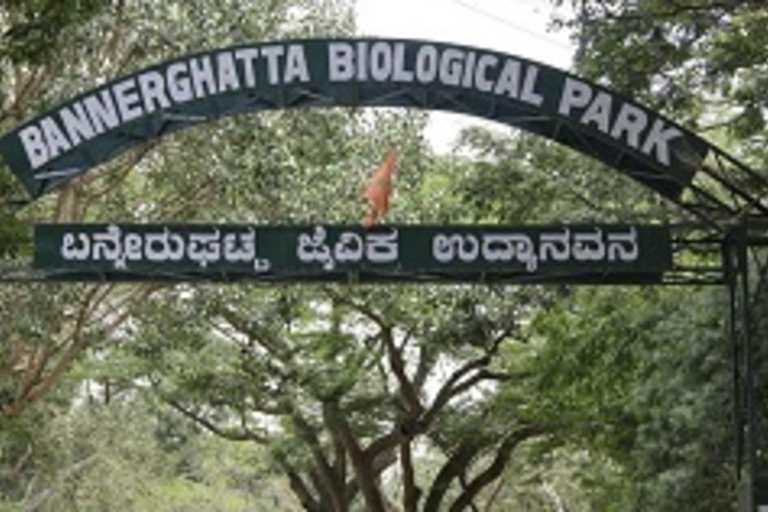 Depuis Bangalore : Visite privée du parc Bannerghatta et des curiosités de la ville