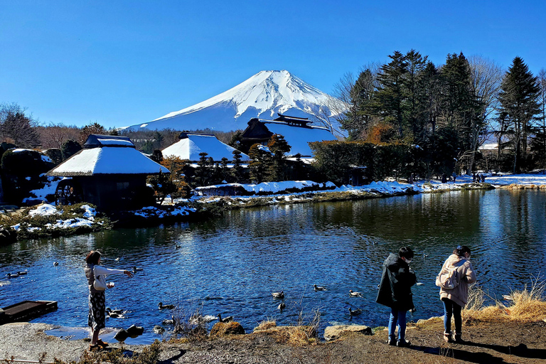 Mount Fuji & Hakone Full-Day Private Tour (Customizable) Hakone & Mount Fuji Tour w/English speaking guide