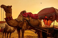От Джайпура, частный тур Ajmer Pushkar от Cab - Housity