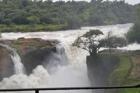 De Kampala: Safari de 3 dias nas Cataratas de Murchison com passeio de rinoceronte