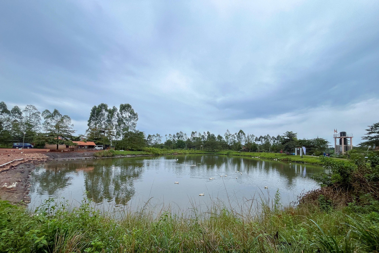 Zorobwe: Coffee Farm Tour with Cupping Session And Lunch
