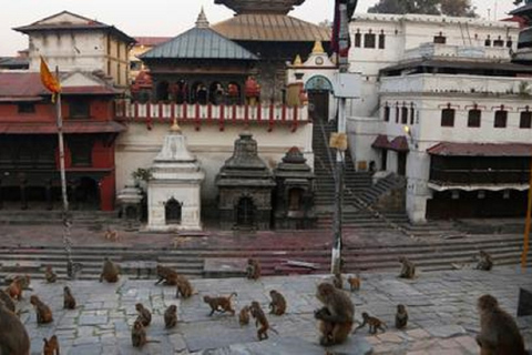 Upptäck Katmandu: Heldagstur med buss till stadens höjdpunkterFrån Kathmandu: Busstur till stadens höjdpunkter