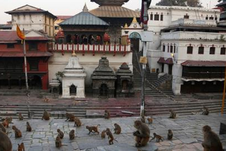 Alla scoperta di Kathmandu: tour in autobus delle principali attrazioni della città di un&#039;intera giornataDa Kathmandu: tour in autobus delle attrazioni principali della città