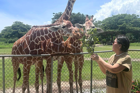 CORON: Calauit Safari with Black Island