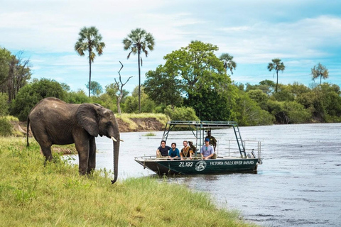 From Livingstone: Chobe National Park Game Drive