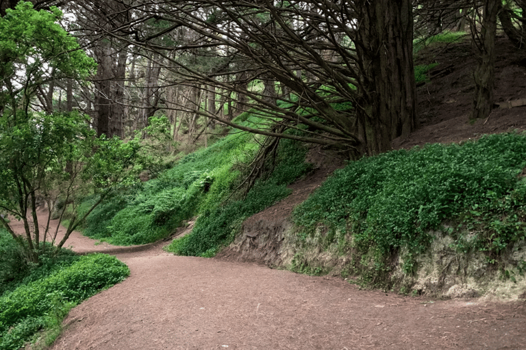 ويلينغتون: جولة خاصة لمشاهدة فيلم ماجيك