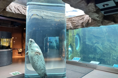 From Sapporo:Famous Asahiyama Zoo, Biei, Furano Forest