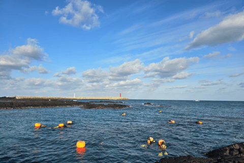 [For Cruise Guests]Jeju Island: Haenyeo Culture Experience