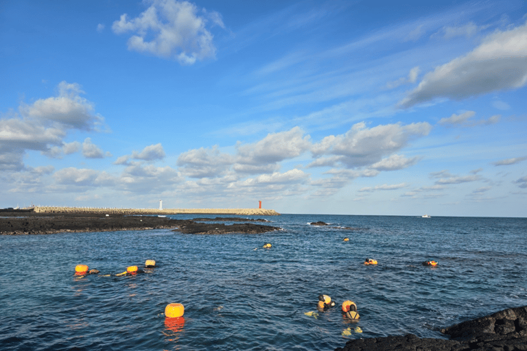 [For Cruise Guests]Jeju Island: Haenyeo Culture Experience