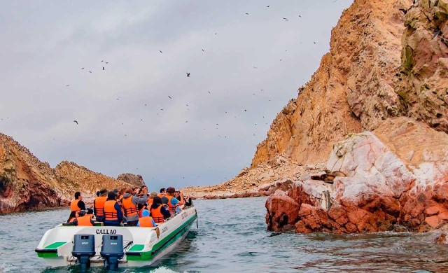 Visit Ica Tour to Ballestas Islands and Paracas National Reserve in Ica, Peru
