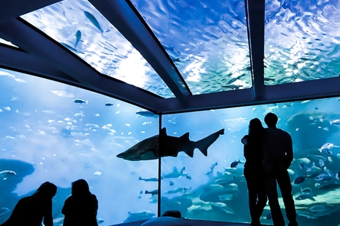 Mallorca : Billet d'entrée à l'aquarium de Palma avec cinéma 3D