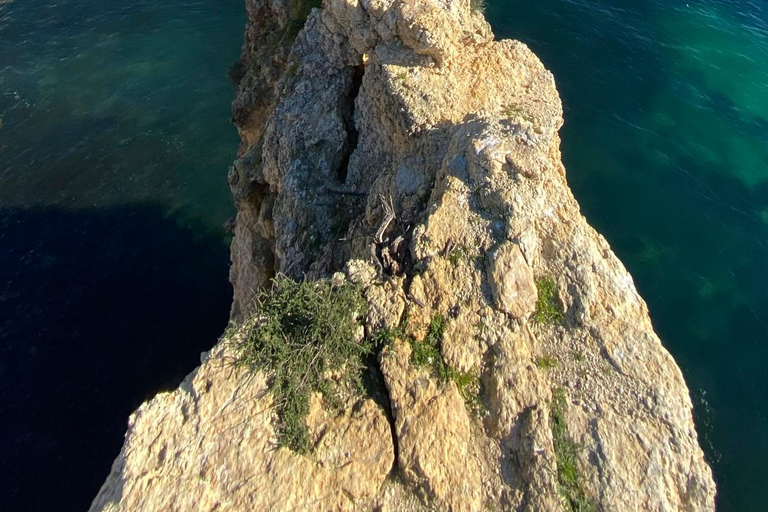 Från Faro: Benagil, Marinha, 7 dalar och Algar Seco Tour