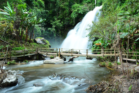 Randonnée dans le parc national de Doi Inthanon et randonnée sur le sentier de Pha Dok SiewVisite du parc national de Doi Inthanon et randonnée sur le sentier Pha Dok Siew