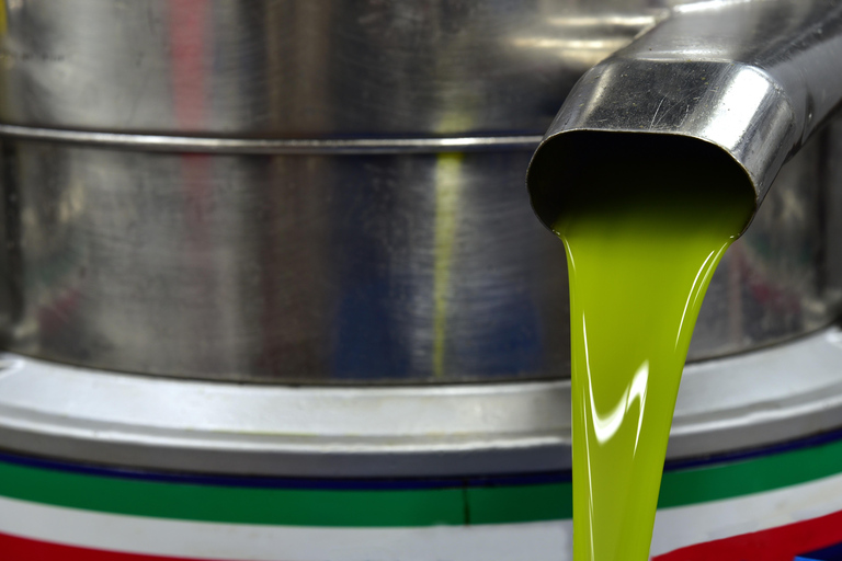 Djerba: tasting of one of the best olive oils and typical lunch