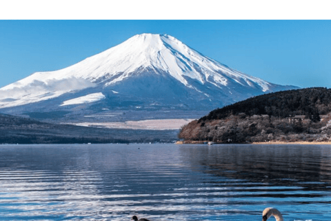 Depuis Tokyo : Visite privée du Mont Fuji en Land Cruiser ZX 2024Visite touristique du Mont Fuji en voiture de luxe Toyota Vellfire