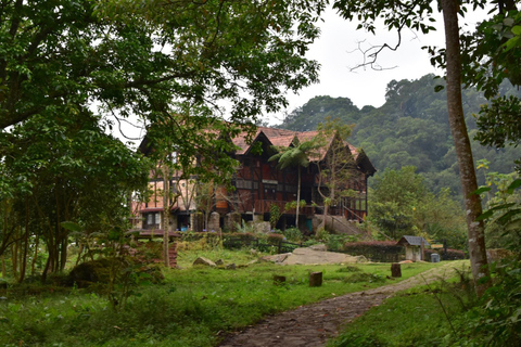 Bogota: Explora el Bosque y avista aves en Parque Natural Chicaque