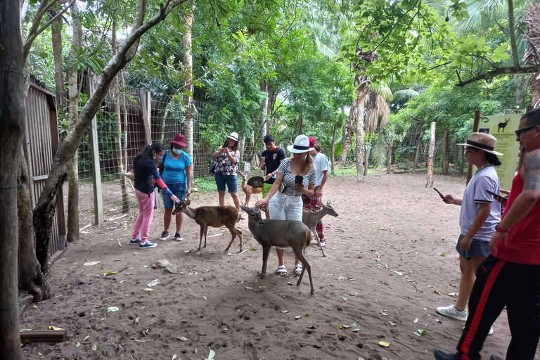 Desde Huatulco: Excursión Ecológica Cocodrilos y TortugasServicio Privado en Vehículo Avanza