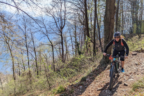 Adelaide Hills: Tour guiado de E-Bike com café e bolo