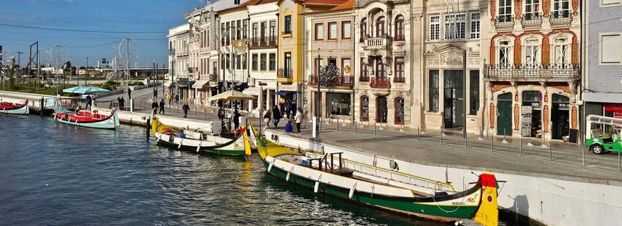 De Porto à Aveiro : croisière, oiseaux, salines, Costa Nova et Vista Alegre