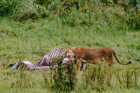 Kigali: Akagera National Park Safari with Boat Cruise