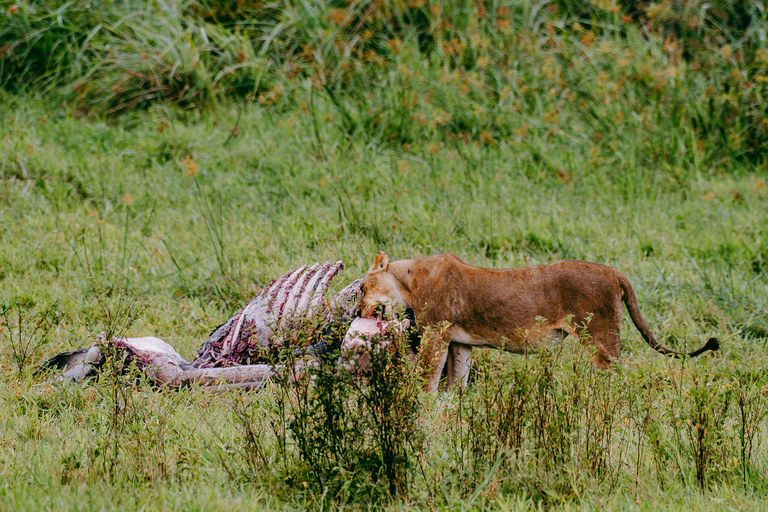 Kigali: Akagera National Park Safari with Boat Cruise