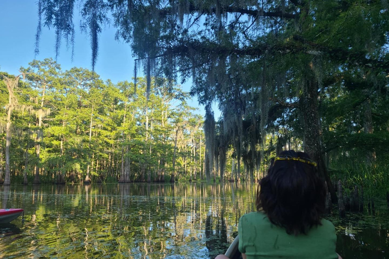 Atchafalaya Basin: 2,5 Std. Geführte Kajaktour