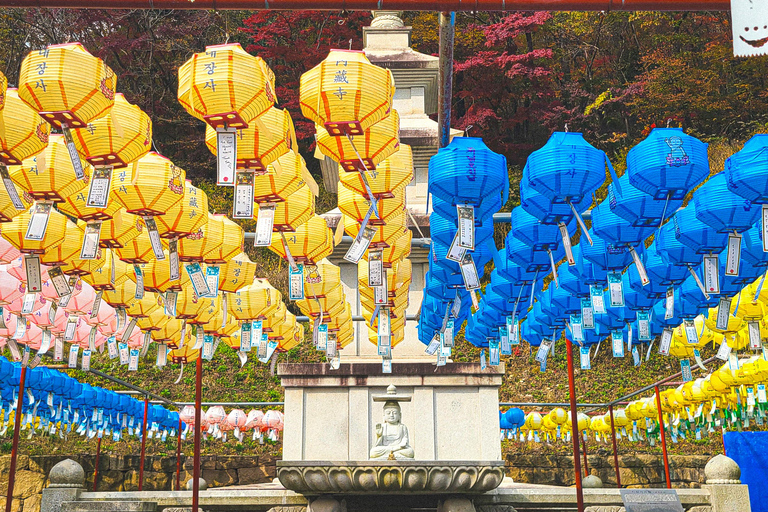 Seúl: Parque Nacional Naejangsan, tour de un día para ver el follaje otoñalVisita compartida a Naejangsan, encuentro en la estación de Myeongdong