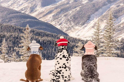 Courchevel: Ski Photo Session on the Slopes