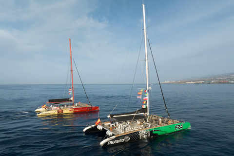 Depuis Costa Adeje : croisière d'observation des baleinesCroisière sans prise en charge