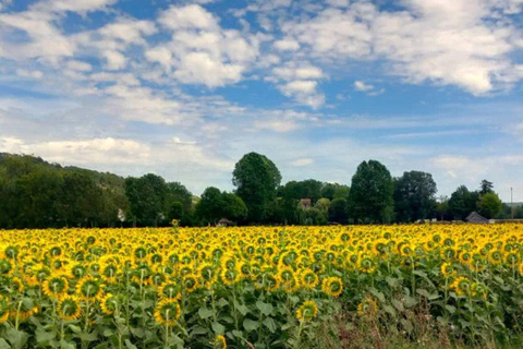 Visite guidée à vélo de Vernon à Giverny avec un guide de la région