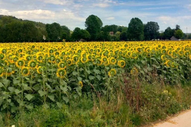 Wycieczka rowerowa z Vernon do Giverny z lokalnym przewodnikiem