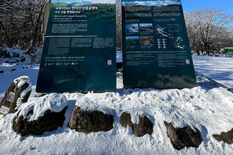 Haz senderismo por Hallasan, en la isla de Jeju, la montaña más alta de Corea del SurJeju Hallasan; Excursión a pie Flor de Nieve con almuerzo