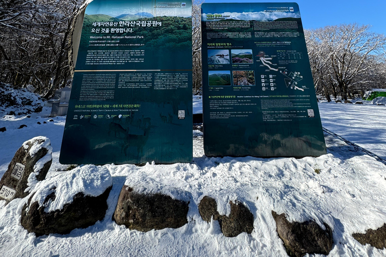 Wandeling Hallasan op het eiland Jeju, de hoogste berg van Zuid-KoreaJeju Hallasan; Sneeuwbloemenwandeltocht met lunch