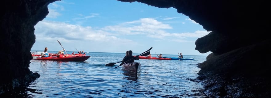 Torquay : safari en kayak à la découverte de la faune, de la nature sauvage et des grottes marines
