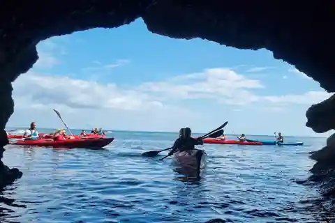 Oddicombe: Wildlife, Bushcraft and Sea Cave Kayak Safari