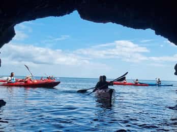 Oddicombe: safari in kayak con animali selvatici, boscaglie e grotte marine