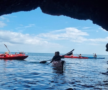 Oddicombe: Wildlife, Bushcraft and Sea Cave Kayak Safari