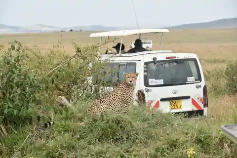 Safari em grupo com pernoita em Amboseli a partir de Nairobi
