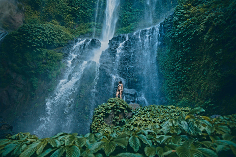 Bali : Ultimate Waterfall Tour (All Inclusive & Private)