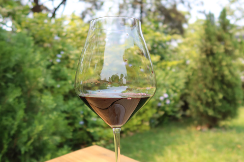 基加利：品酒体验全球葡萄品种深度解析